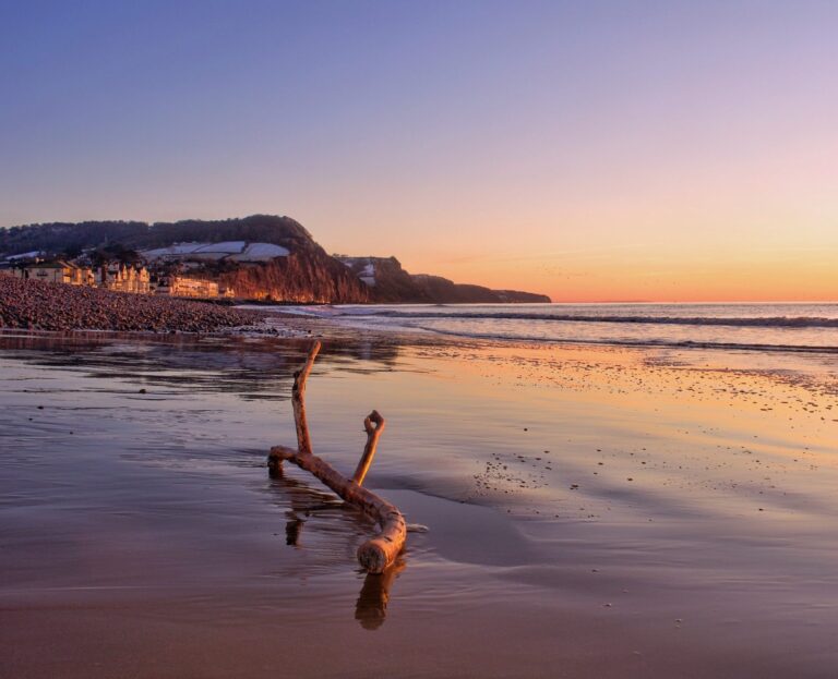 Driftwood on Sidmouth beach at sunset