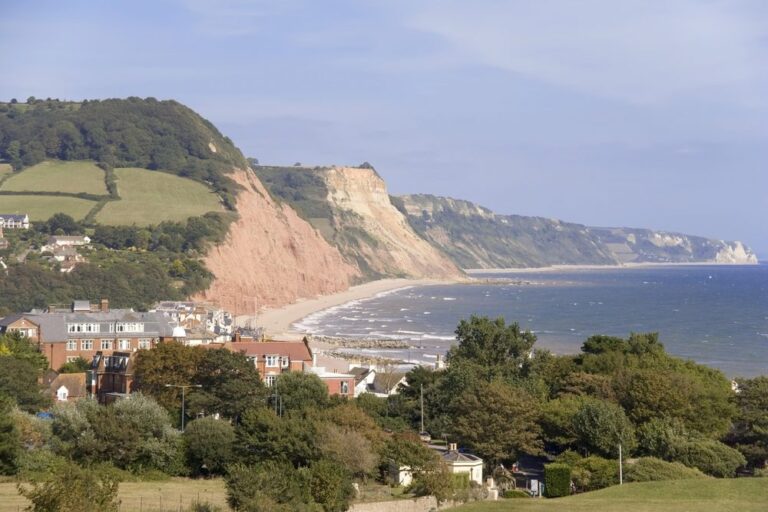 Sidmouth and the red cliffs from above